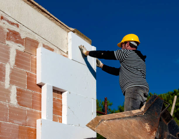 Best Blown-in Insulation  in Trenton, MI