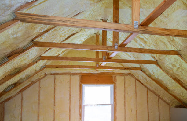 Best Local Insulation Services  in Trenton, MI