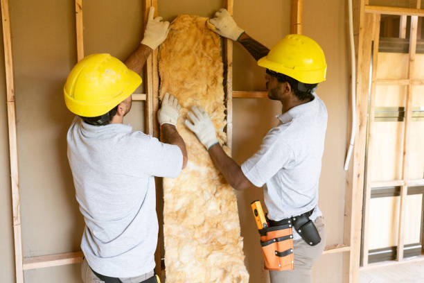 Best Insulation Contractors for Homes  in Trenton, MI