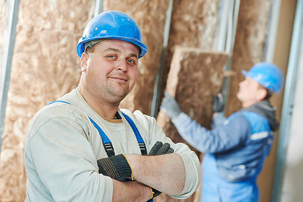 Best Soundproof Insulation Installation  in Trenton, MI