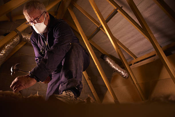 Best Insulation for New Construction  in Trenton, MI